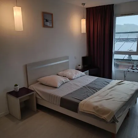 Apartment Proche Gare Avec Parking Lourdes